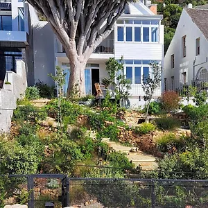 The Dragon Tree Guest house